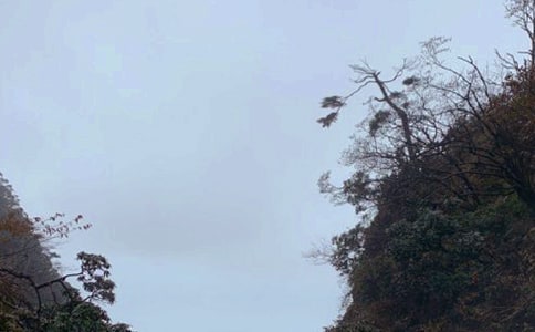 四川峨眉山簡短的導(dǎo)游詞