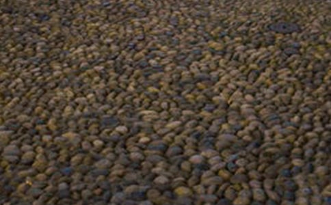 ����һ�w�Z��ʯ��������