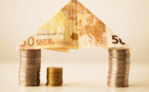 發(fā)財(cái)樹(shù)作文