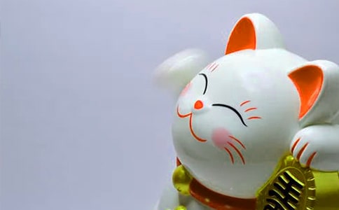 �l(f��)ؔ(c��i)��(sh��)���B(y��ng)ֳ������ע�����(xi��ng)