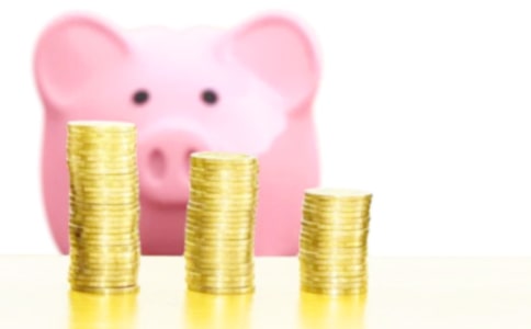 關于發(fā)財樹的優(yōu)秀作文