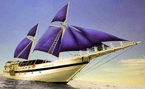 �а����g(sh��)С�����̰���ͨ��5ƪ��