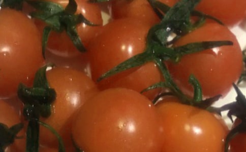 讀《番茄太陽(yáng)》有感 讀后感600字