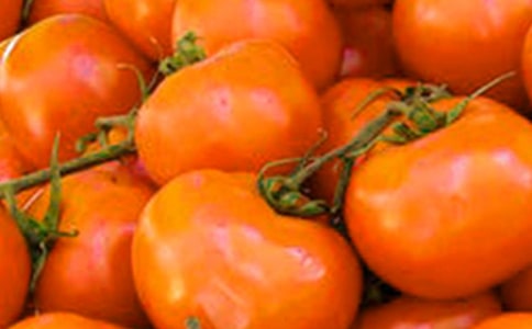 關(guān)于番茄作文