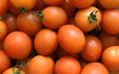 學(xué)做番茄炒蛋寫事作文