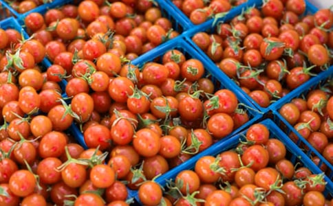 ���ҷ�����������750��