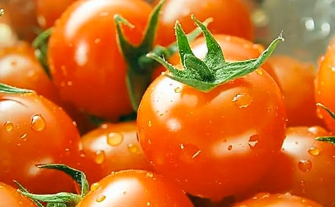 ���ѳ������ģ���(y��u)��31ƪ��