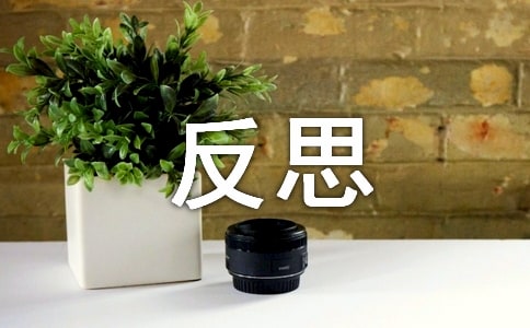 大班美術(shù)石頭畫(huà)的故事教案及反思