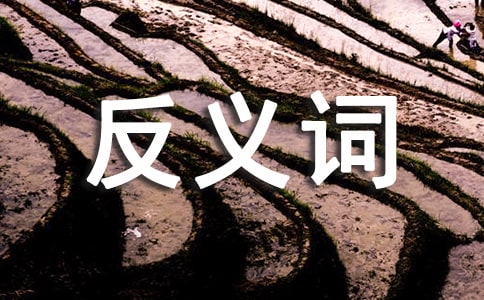 ��ه�Ľ��x�~��ʲô ��ه�Ľ��������x�~�����