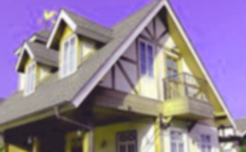 校本課程蝸牛的新房子小學(xué)美術(shù)教案