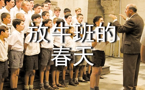放牛班的春天觀后感匯總15篇
