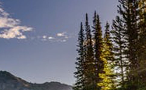 心中的風(fēng)景作文