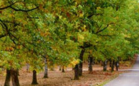 �L(f��ng)���@߅��(d��)����ӛ