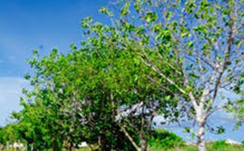 ����(j��ng)�e�^���L������