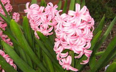 �L�����^����ӛ900��