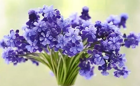 �L�������ģ�ͨ��30ƪ��