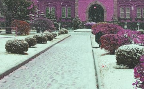 ���L(f��ng)ѩ���x���(����)