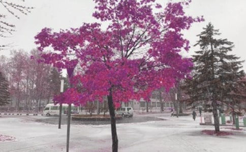 東風(fēng)雪鐵龍賽納車型故障三例