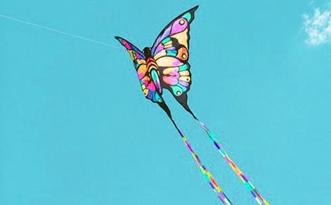 放風(fēng)箏日記5篇【熱門】