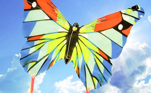 (優(yōu)選)關(guān)于放風(fēng)箏的作文15篇