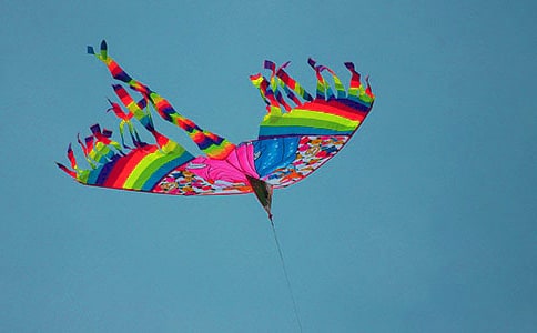 關(guān)于放風(fēng)箏的作文15篇(精選)