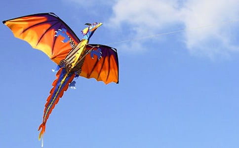 放風(fēng)箏日記(共5篇)