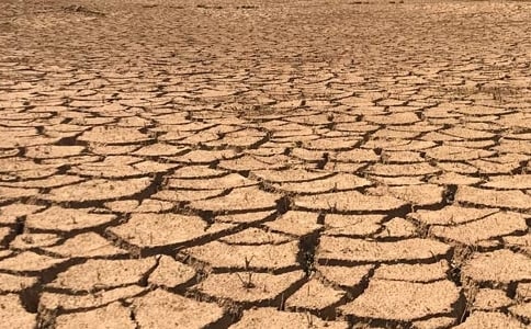 干旱區(qū)人與自然和諧發(fā)展的農(nóng)業(yè)生態(tài)環(huán)境調(diào)控策略集成