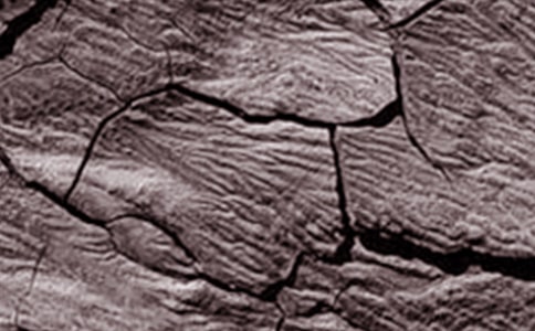 �ɺ���ˮ����(10ƪ)