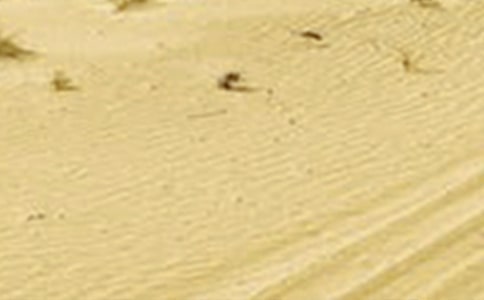 NOAA/AVHRR資料在黑龍江省干旱監(jiān)測中的應(yīng)用研究