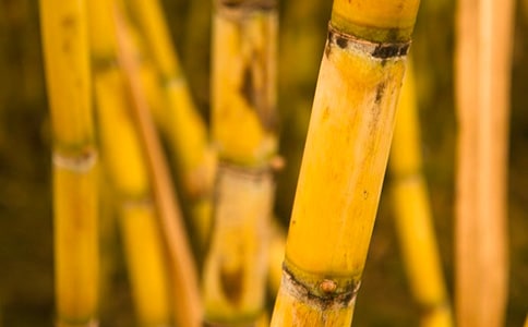 �P(gu��n)�ڸ�������ı؂�4ƪ