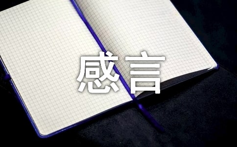歲末感言作文3文