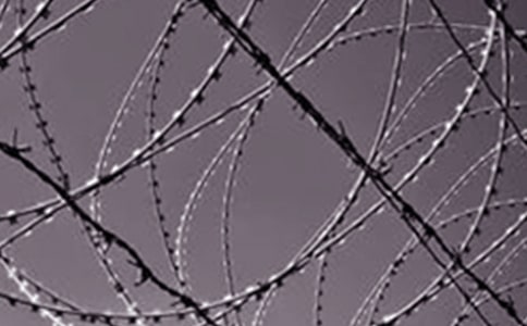 閱讀鋼鐵是怎樣煉成心得體會(huì)