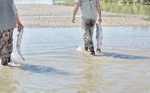 ����Ʒ���ҵĺø炃����8ƪ