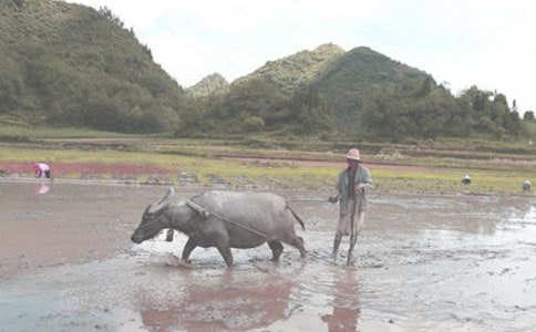 ͯȤ����ţ�ā����������w��ë�����ͺ��������Pѩ���W�\(y��n)����ԭ֮������ٝ(��һ��(d��ng)��)