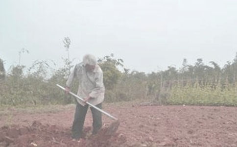 喜耕田的故事-記山東省諸城市相州鎮(zhèn)農(nóng)機(jī)大戶吳軍