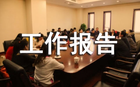 工程師工作報(bào)告(精選11篇)