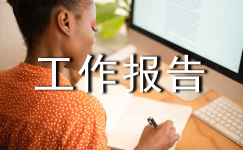 個人年度工作報告