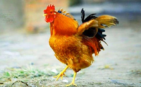 �P(gu��n)�ڹ��u�����Č�(sh��)��15ƪ