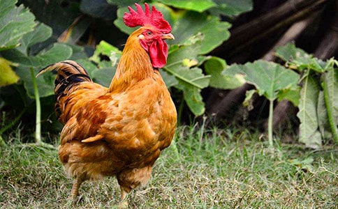 [���]]�P(gu��n)�ڹ��u������15ƪ