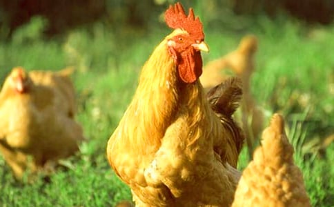 �����u�ľ���