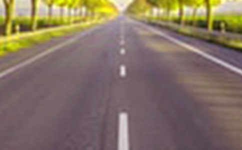 ��·��ѩ����