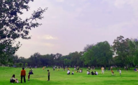 關(guān)于公園寫(xiě)景作文300字集錦8篇