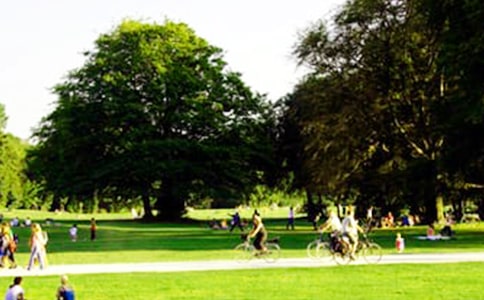 公園寫景作文(精選60篇)