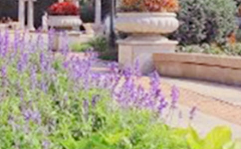 金牛嶺公園550字作文