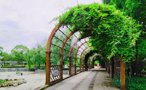 �������@����