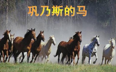 �����˹���R���̰��O(sh��)Ӌ(j��)