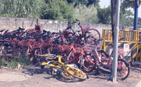 共享單車社會(huì)實(shí)踐心得