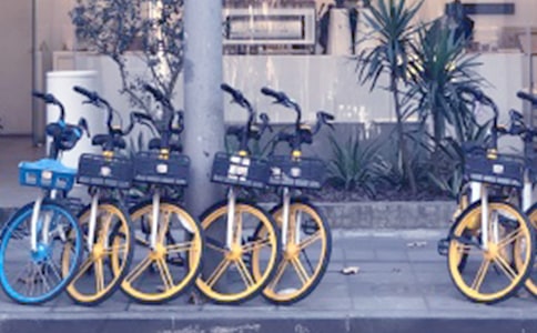 關(guān)于共享單車作文集合14篇