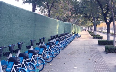 共享單車整理實(shí)踐心得(通用10篇)