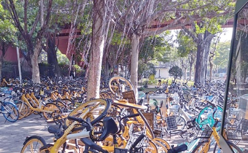 擺放共享單車社會實(shí)踐心得(通用10篇)